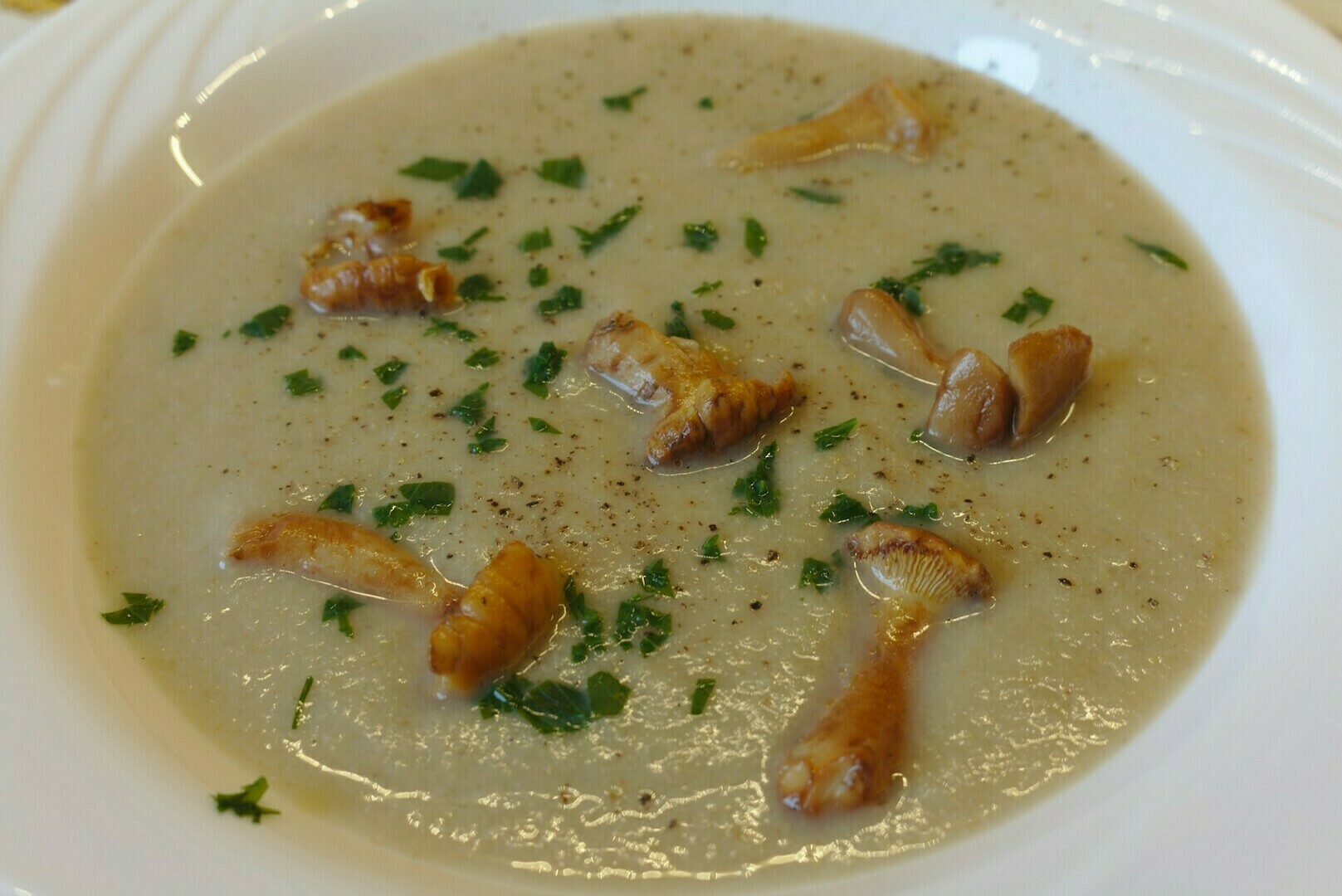 Zöldbabkrémleves rókagombával